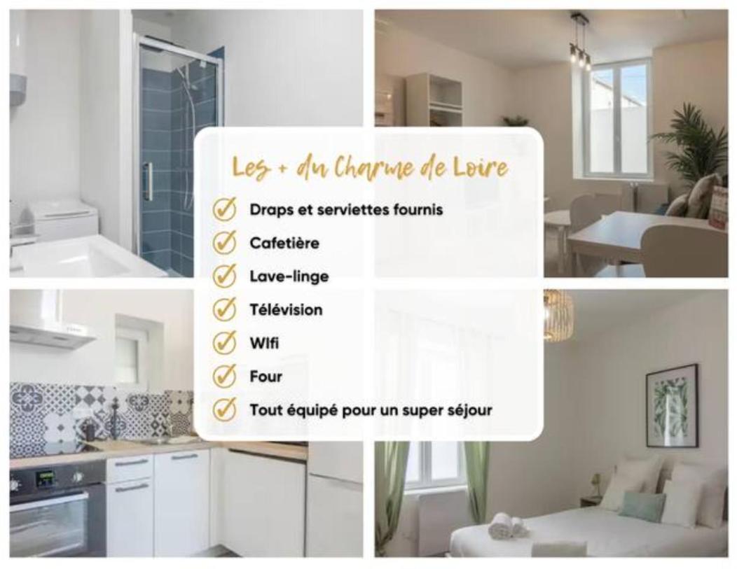 Charme De Loire A St Ay *T2* Daire Saint-Ay Dış mekan fotoğraf